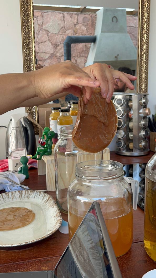 Mão segurando um Scooby de kombucha sobre potes de fermentação